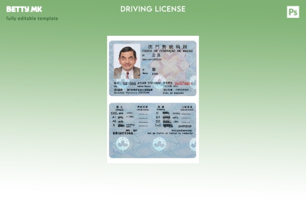 Модерен стил Макао dl шаблон